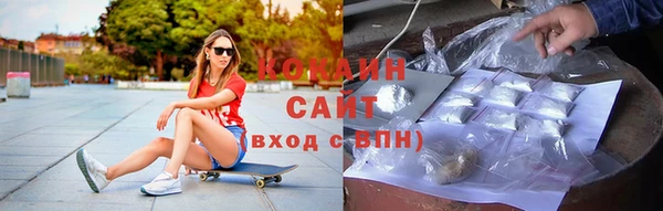 ECSTASY Богданович