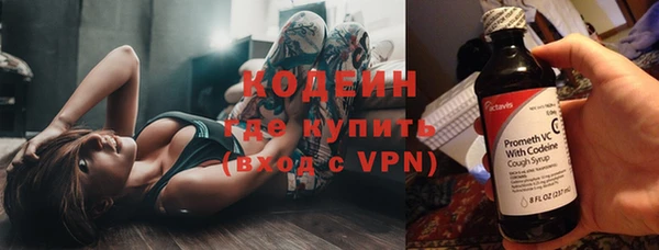 ECSTASY Богданович