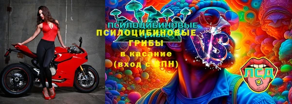 прущий лед Белокуриха
